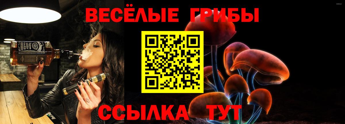 Галлюциногенные грибы Psilocybine cubensis Крымск